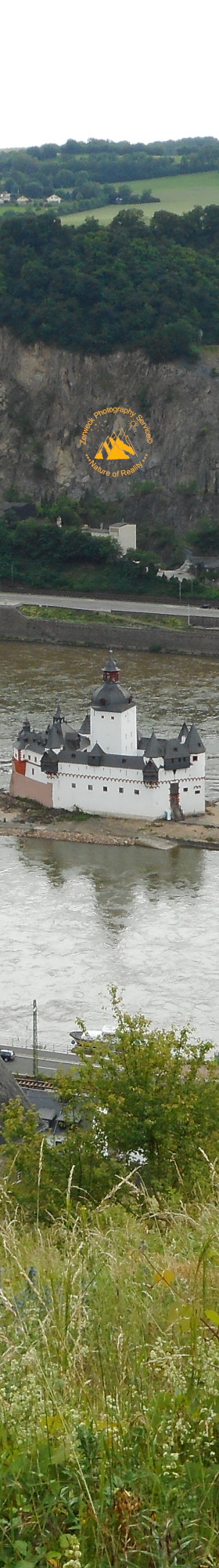 Burg Pfalzgrafenstein Mittelalter Zollburg